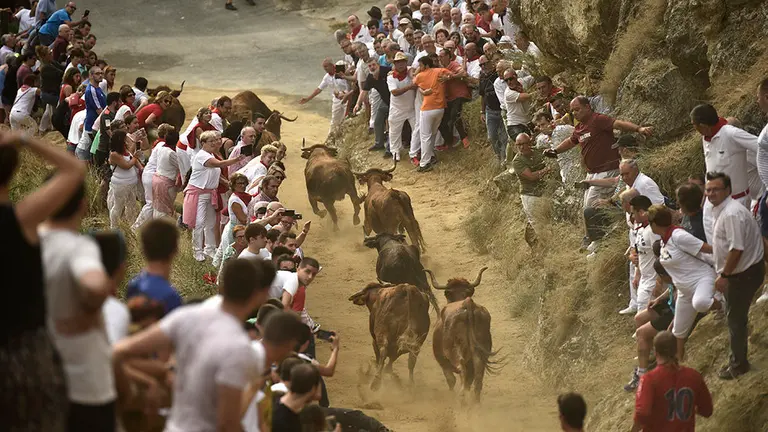 Primer encierro del Pilón de las fiestas de Falces de 2018. MIGUEL OSÉS (5)