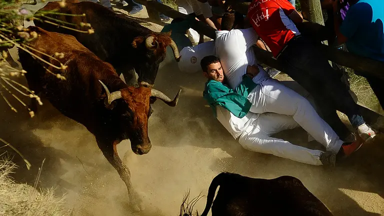 Segundo encierro de las fiestas del Pilón de Falces de 2018. MIGUEL OSÉS (1)