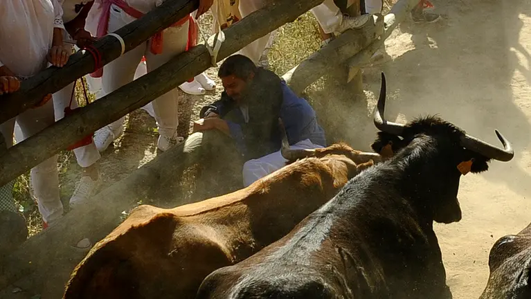 Segundo encierro de las fiestas del Pilón de Falces de 2018. MIGUEL OSÉS (2)