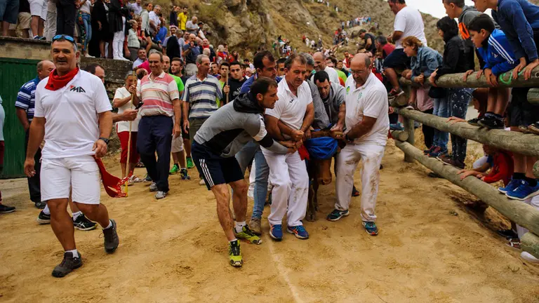 Tercer encierro del Pilon de Falces de 2018. MIGUEL OSÉS (17)