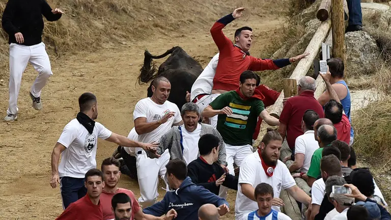 Quinto encierro de El Pilón de las fiestas de Falces de 2018. MIGUEL OSÉS (3)