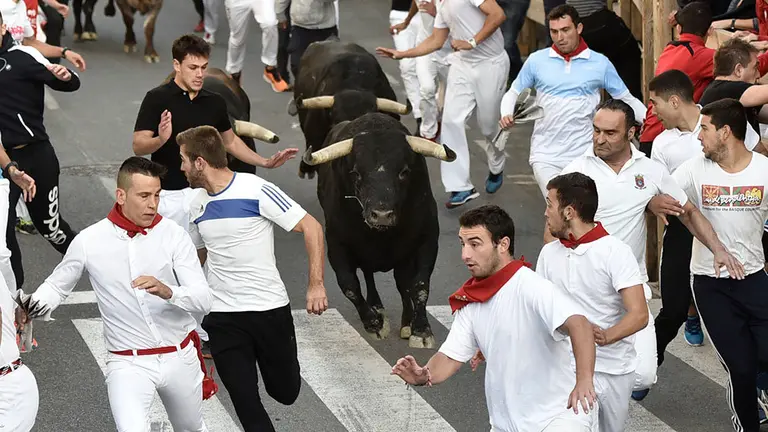 Cuarto encierro de las fiestas de Tafalla de 2018. MIGUEL OSÉS (3)