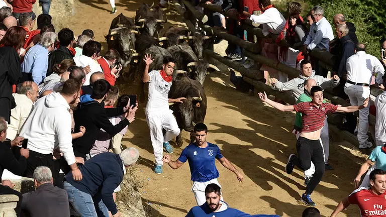 Séptimo encierro de El Pilón de Falces de 2018. MIGUEL OSÉS (6)