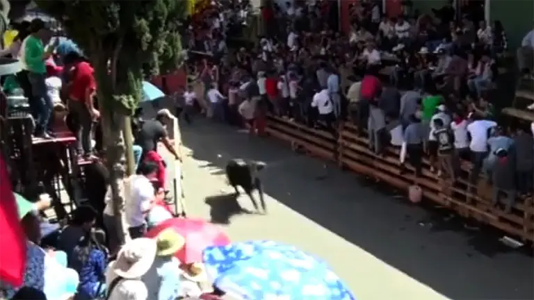 Particular encierro de San Fermín en Mexico