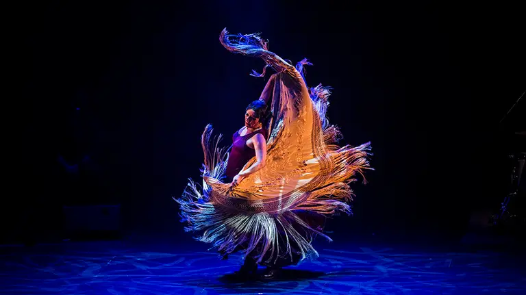 Eva Yerbabuena da un concierto en Baluarte durante el Festival Flamenco On Fire. JAVIER FERGÓ  (1)