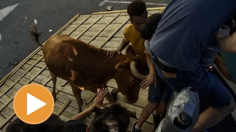 Cogida a un joven en la última suelta de vaquillas de las fiestas de Noain de 2018