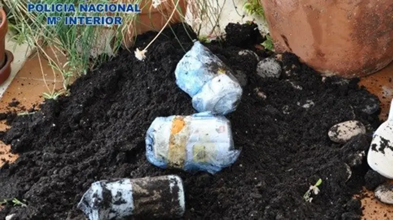 Parte del dinero robado que se encontró en las macetas. POLICÍA NACIONAL