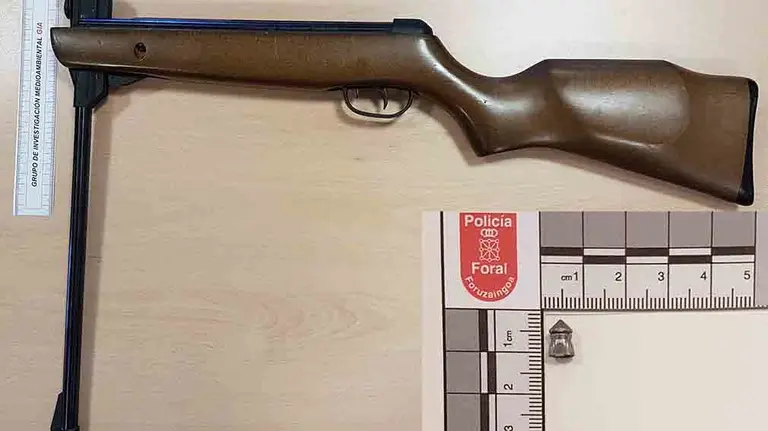Carabina y perdigón. POLICÍA FORAL