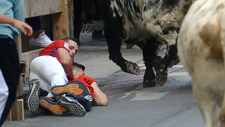 Primer encierro de las fiestas de Peralta de 2018 con novillos de la ganadería de Aldeanueva. MIGUEL OSÉS (10)