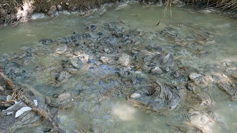 La suciedad del río Alhama a su paso por Corella. GURELUR