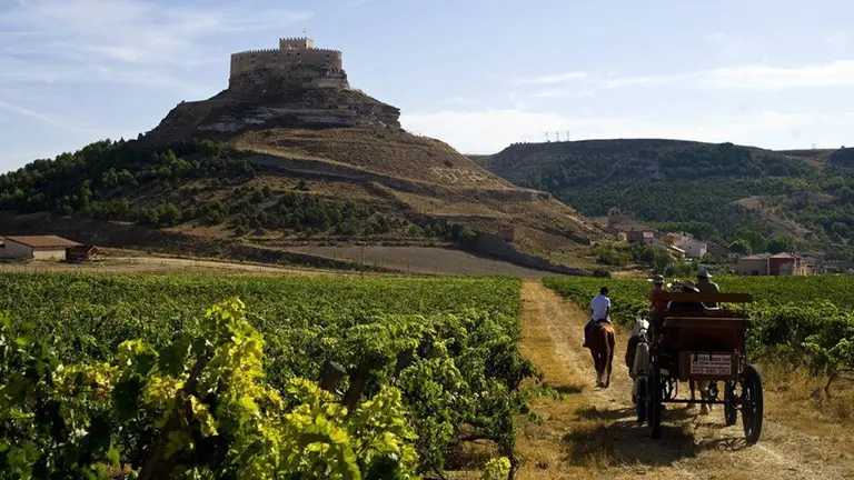 Imagen de la Ribera del Duero, en la provincia de Burgos, dentro de la oferta turística que propone la provincia Foto TURISMO DE BURGOS