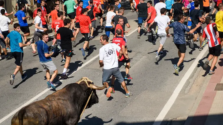 Toro con Soga en Lodosa el sabado de las Angustias por la mañana. MIGUEL OSÉS_8