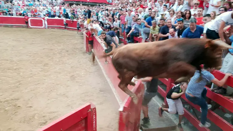 Un toro salta el vallado en Villafranca y huye por las calles de la localidad. ANTONIO RODRÍGUEZ MURUGARREN
