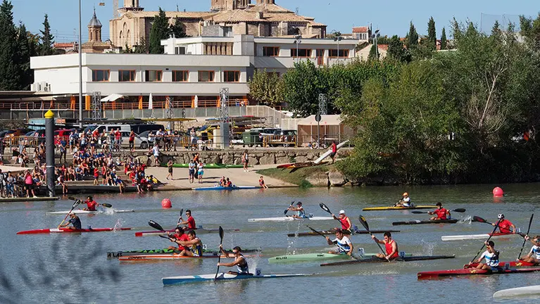 Regata Traslapuente en Tudela. Cedida.