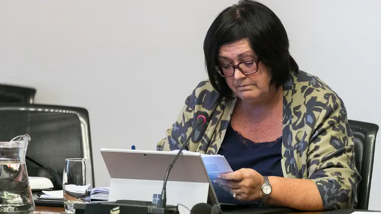 La directora gerente de Sodena, Pilar Irigoien, comparece en el Parlamento para explicar la decisión de reclamar los préstamos concedidos a Davalor (20). IÑIGO ALZUGARAY