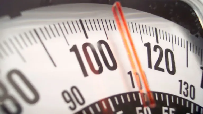 Una báscula. ARCHIVO