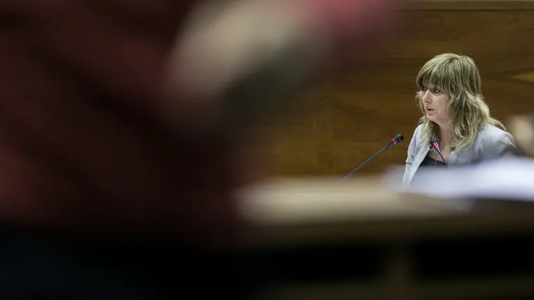 Pleno del Parlamento de Navarra (51). IÑIGO ALZUGARAY