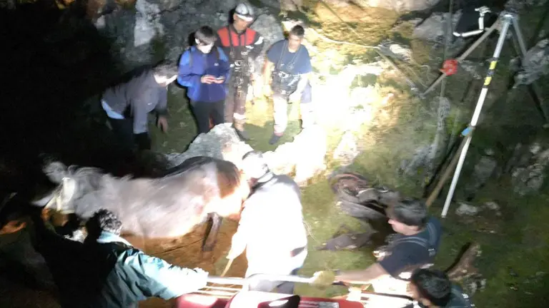 Rescate de una yegua en Aralar BOMBEROS DE NAVARRA