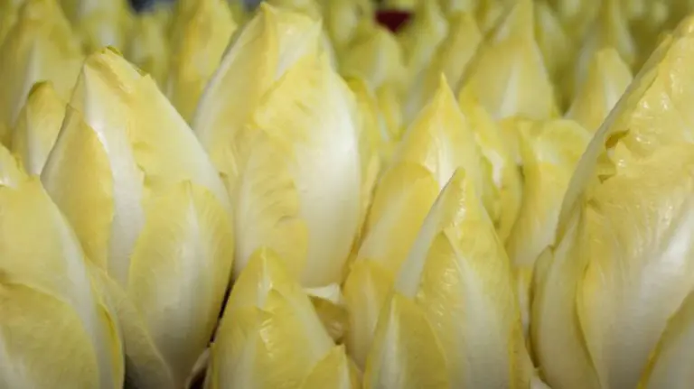 Algunos de los productos que comercializa la empresa