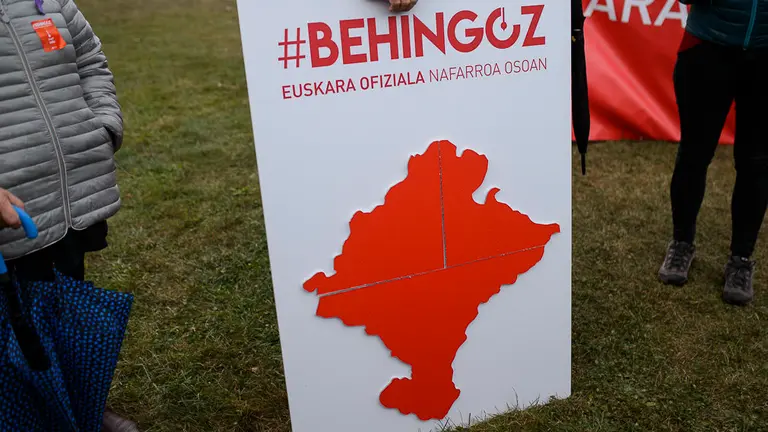 Una manifestación a favor del euskera recorre las calles de Pamplona. PABLO LASAOSA 06
