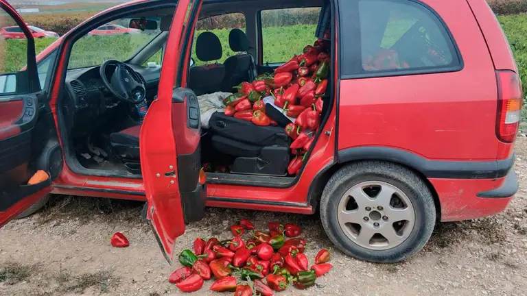 El coche en el que las dos mujeres denunciadas iban a llevarse 400 kilos de pimientos de una finca de Viana. POLICÍA FORAL