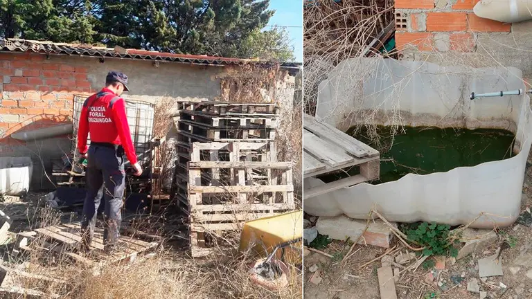 La Policía Foral encuentra el cádaver del perro maltratado en una finca en Navarra. POLICÍA FORAL