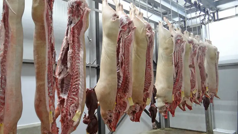 Carne de cerdo colgando en un matadero