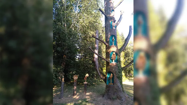 Cedro decorado en Bertiz. GOBIERNO DE NAVARRA