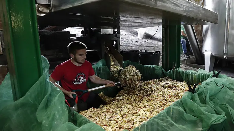 GRAF5681. BERUETE (NAVARRA), 10/11/2018.- Los productores de sidra artesana de Navarra están ya atareados en el procesamiento de las diferentes variedades de manzana con las que elaborarán esta deliciosa bebida cuya degustación comenzará en el mes de enero al grito del tradicional &#34;¡Txoxt¡&#34;. Este es el caso de Angel y su hijo Manu (imagen) de la localidad navarra de Beruete que, tras lavar la manzana, machacar el fruto sin triturarlo, para que la pepita quede entera y la piel quede en la pasta obtenida, colocan la manzana en una maquina hidráulica para su prensado y obtener de esta manera el zumo que tras su fermentación en las barricas se convertirá en la apreciada sidra artesana. EFE/Jesús Diges