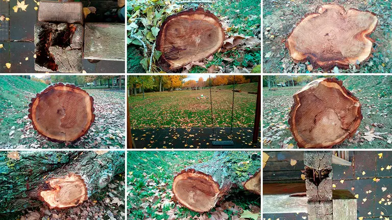 Varios de los desperfectos que se encuentran en el parque La Nogalera de Burlada OK