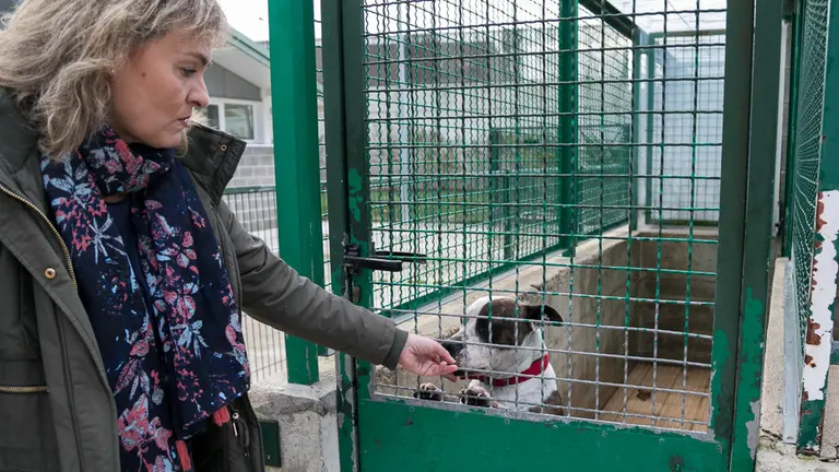 Visita de la Comisión y la Gerencia de Urbanismo del Ayuntamiento al Centro de Atención de Animales con motivo de la campaña navideña de adopción  (29). IÑIGO ALZUGARAY