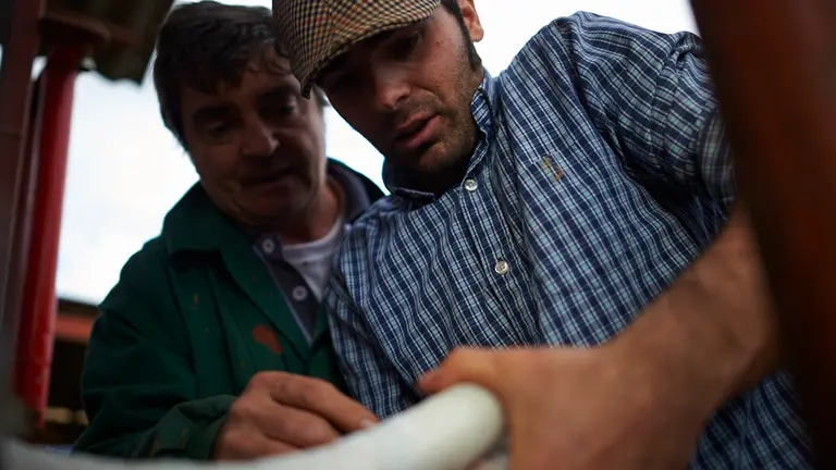 Día de trabajo en la Finca de la Tejería de la Ganadería Reta en la que han enfundado toros y vacunado lotes. MIGUEL OSÉS (20)
