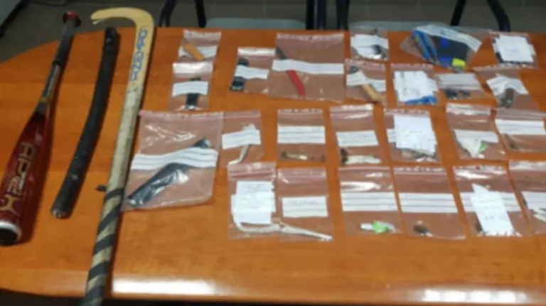 Armas localizadas en controles en una zona de ocio próxima a la frontera con Francia POLICÍA FORAL