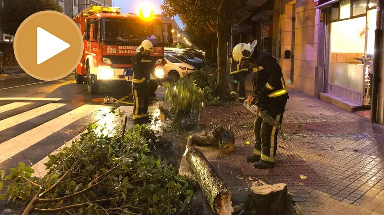 Árbol caído en la calle Abejeras debido al viento (player) TWITTER (@Stevie235009301)