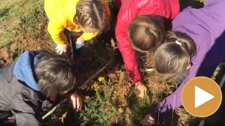 Imagen de varios niños durante el proyecto de investigación de la UPNA player YOUTUBE