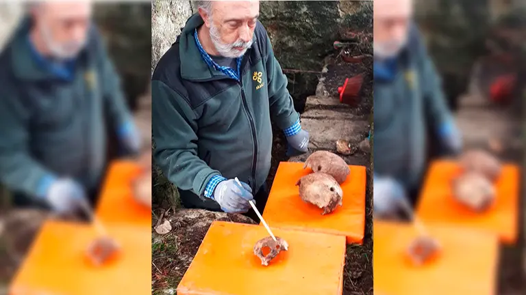 El forense Francisco Etxeberria, con los restos humanos encontrados