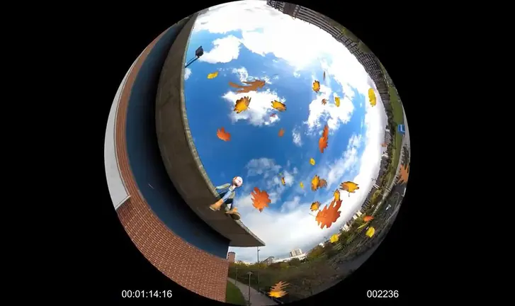 Imagen de la película &#39;El jardinero de la galaxia&#39;. YOUTUBE