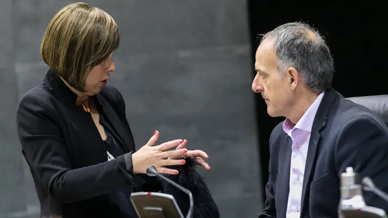 Pleno del Parlamento de Navarra (48). IÑIGO ALZUGARAY