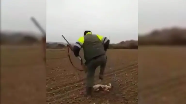 Imagen del cazador torturando a un zorro herido de muerte Foto TWITTER PACMA