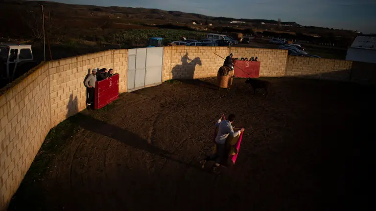 Tentadero en la ganadería lodosana de Pincha propiedad de José Antonio Baigorri. MIGUEL OSÉS. MIGUEL OSÉS (19)