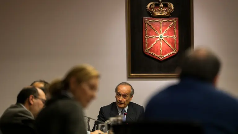 Comparecencia en el Parlamento de Juan José Marcos Muñoz, promotor y director gerente de la empresa Davalor Salud (16). IÑIGO ALZUGARAY