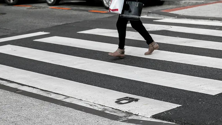 Logotipo de Gestoras Pro Amnistía, pintado en un paso de cebra del barrio de San Juan de Pamplona (05). NAVARRA.com