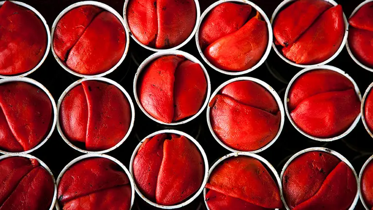 Varias latas de pimientos del Piquillo de Lodosa. ARCHIVO