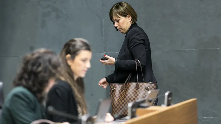 Pleno del Parlamento de Navarra (66). IÑIGO ALZUGARAY
