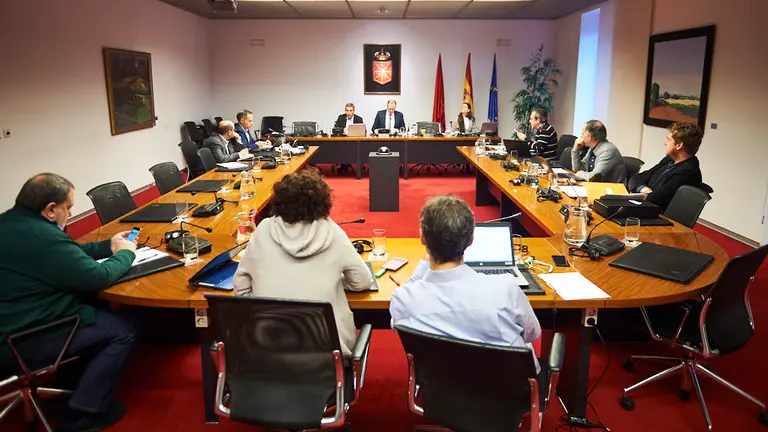 Comisión de Investigación sobre las actuaciones desarrolladas por la empresa pública Sodena con la comparecencia de Xavier Massó. MIGUEL OSÉS 3