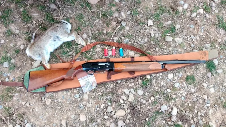 Escopeta, droga y conejo recién abatido que encontró la Policía Foral en el interior del coche. POLICÍA FORAL