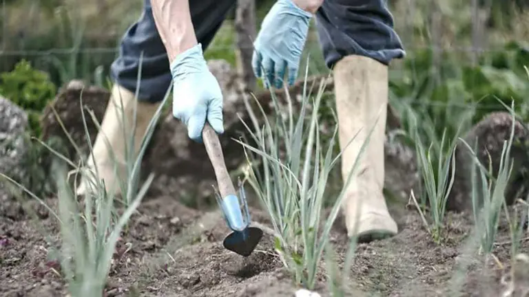 Un joven agricultor trabaja en el campo ARCHIVO