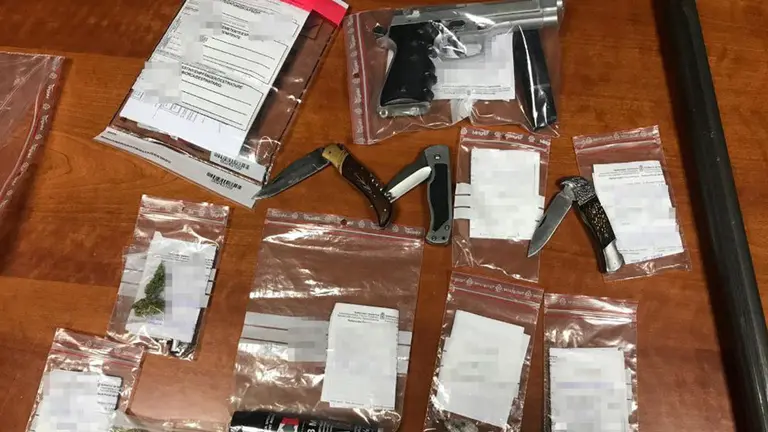 Armas y droga intervenidas por la Policía Foral POLICÍA FORAL