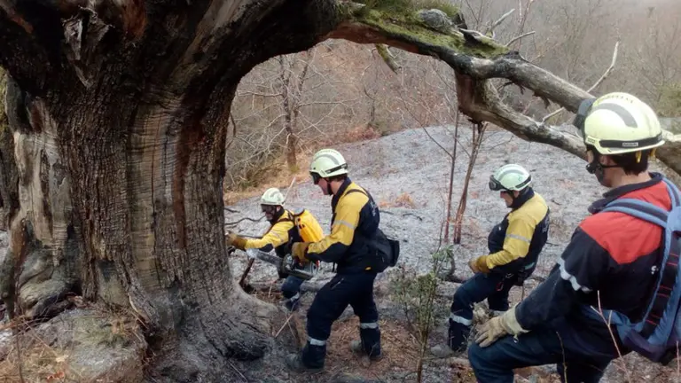 Los bomberos realizan labores de remate en el incendio declarado en Bozate, uno de los numerosos fuegos detectados en Navarra en las últimas horas por la quema de rastrojos. BOMBEROS DE NAVARRA