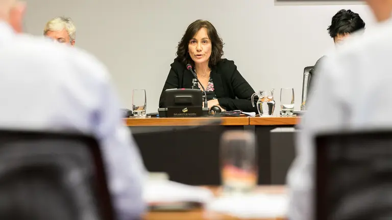 La consejera Ana Herrera comparece en comisión para explicar la contratación 'irregular' de un periodista por su departamento (14). IÑIGO ALZUGARAY